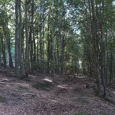 Appartement An Der Bicke Dehringhausen Eksteriør billede