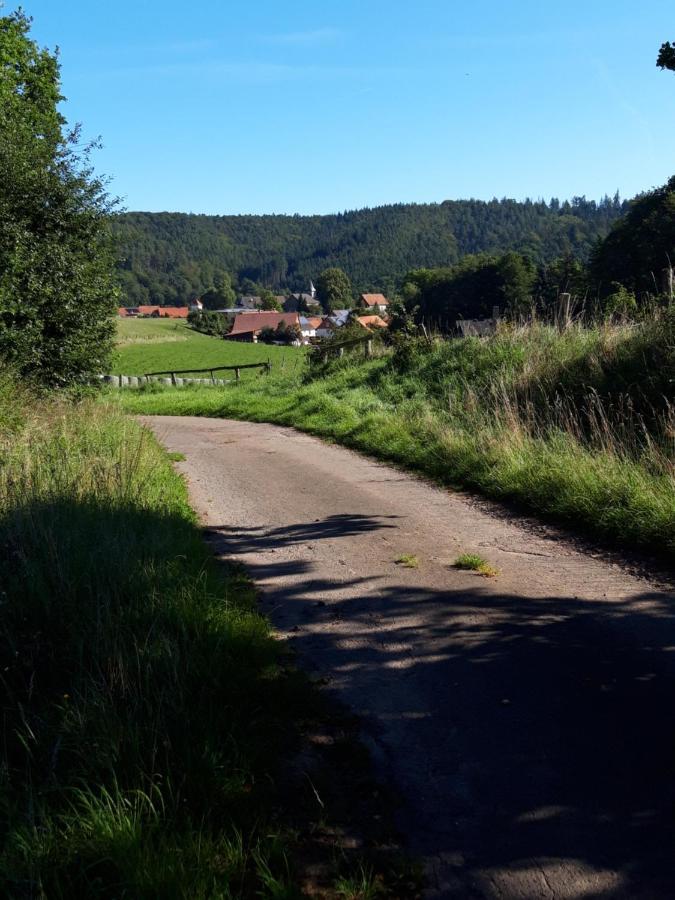 Appartement An Der Bicke Dehringhausen Eksteriør billede
